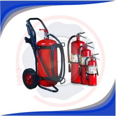 EXTINTO PQS IMAGEN 1